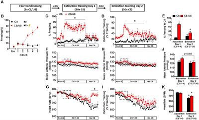 Extinction of Fear Memory Attenuates Conditioned Cardiovascular Fear Reactivity